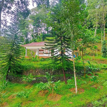 Anivilla Holiday Home Kunjithanny Anachal Екстер'єр фото