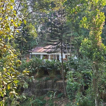 Anivilla Holiday Home Kunjithanny Anachal Екстер'єр фото