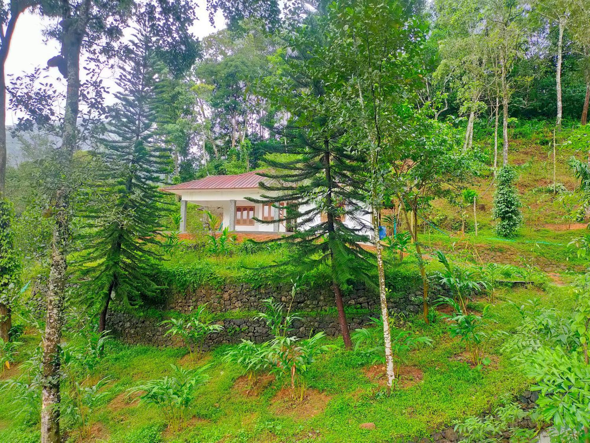 Anivilla Holiday Home Kunjithanny Anachal Екстер'єр фото