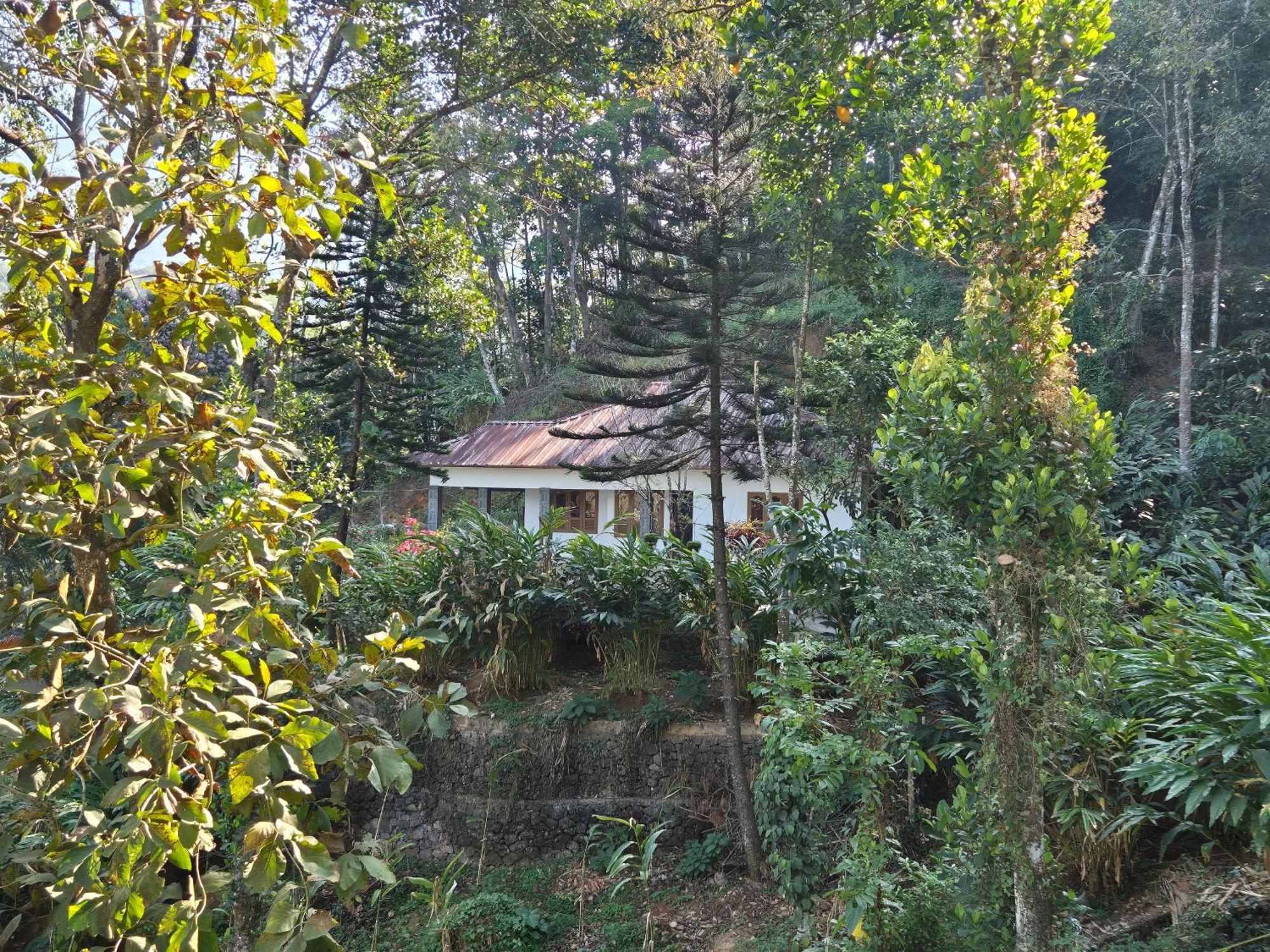 Anivilla Holiday Home Kunjithanny Anachal Екстер'єр фото